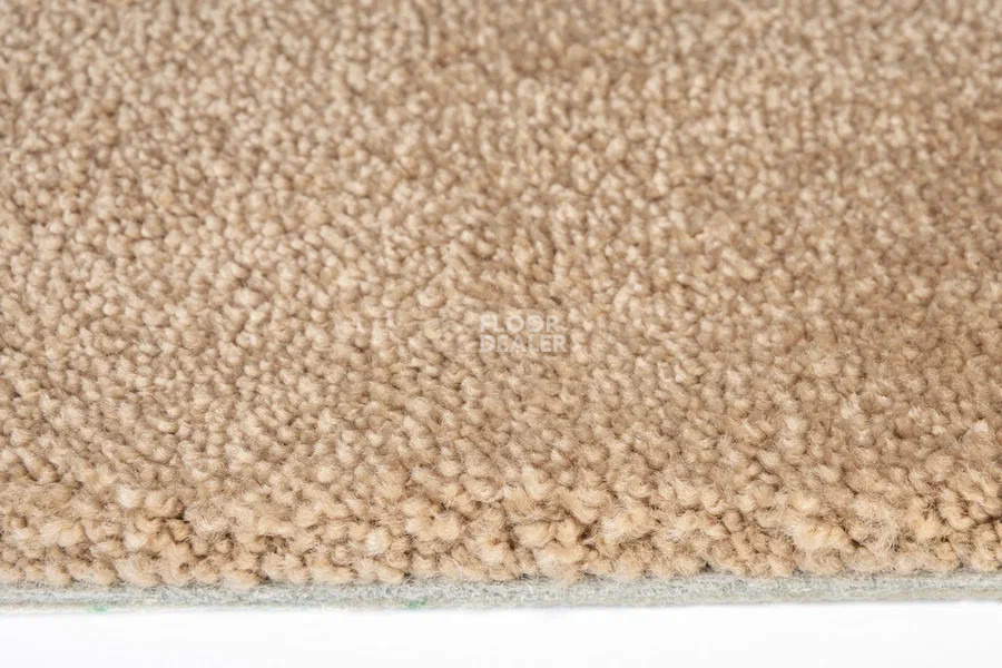 Vorwerk Superior 1067 Mira Vorwerk 8k08 фото 4 | FLOORDEALER
